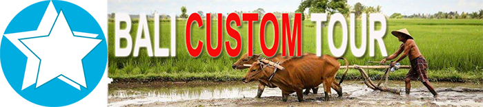 Logo Bali Custom Tour